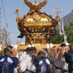 江戸三大祭りの一つ「深川八幡祭り(富岡八幡宮例祭)」が2015年8月13日~8月16日に開催