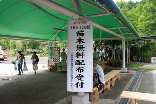 「苗木の無料配布」 さまざまな花木の苗木を、無料で配布。開園時に先着500名で引換券を配布。