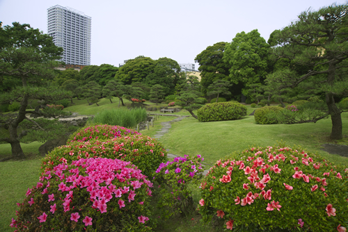 旧芝離宮恩賜庭園 夏の風景