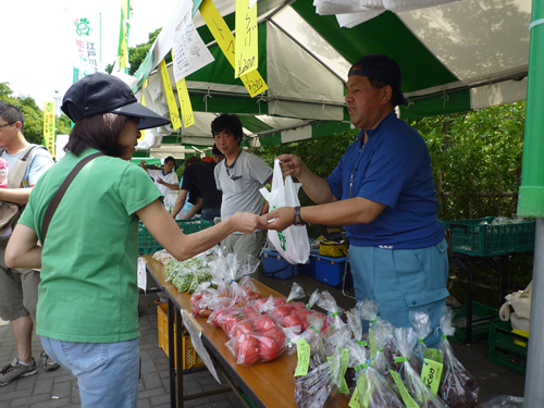 朝採れ新鮮!!江戸川区産の夏野菜の即売