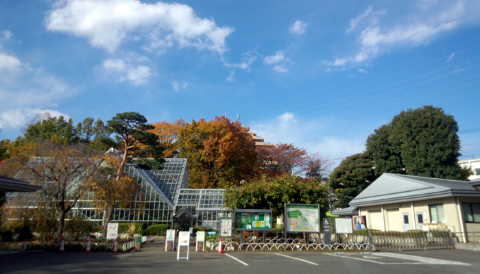 東京都薬用植物園で7月8日(水)に薬草教室「徳川吉宗と薬草」(当日受付先着100名)