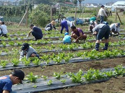 みんなで畑作業