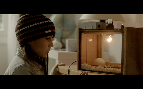 「しあわせなアヒルの子」 © Ring Prod / Les Films d’Antoine アヒルのヒナを育てようとする車イスの少女、マルゴーの挑戦の物語。
