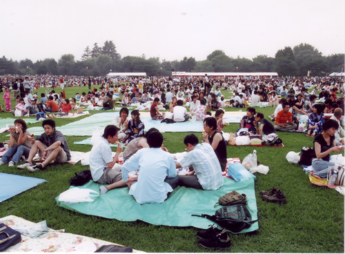 東京ドームが2つ入る広大な国営昭和記念公園なので、シートを敷いてゆったり見物できる