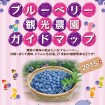 埼玉県美里町で「ブルーベリー摘み取り」のベストシーズンが始まる!収穫は9月上旬まで
