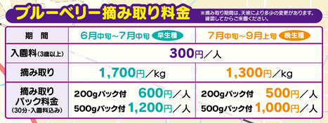 摘み取り料金は入園料(3歳以上)が300円、摘み取りは早生種(~7月中旬)1,700円/Kg、晩生種(7月中旬~9月上旬)1,300円/Kg。お得な摘み取りパック料金もあり。すべての農園が同料金。