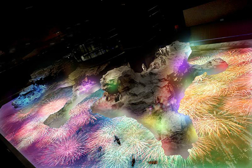 すみだ水族館、プロジェクションマッピング「ペンギン花火」など夏イベントを7月18日(土)~8月31日(月)に開催 写真はプロジェクションマッピング「ペンギン花火」イメージ