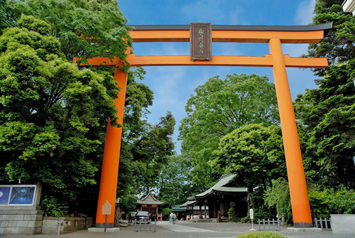 境内の入り口に大きくそびえたつ高さ約15mの大鳥居は、木製の鳥居としては日本一の大きさを誇る