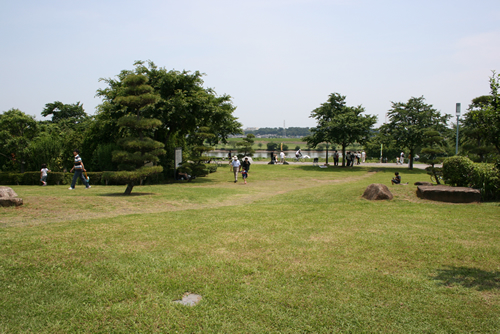 江戸川沿いの柴又公園(大会会場)