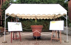 展示場所の様子