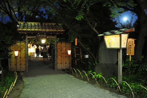 行灯やぼんぼりに照らされた幻想的な夜の庭園を演出 絵行灯灯る庭門