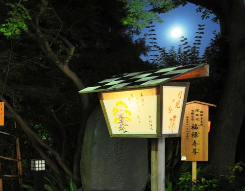深まりゆく秋の夜に月を観賞しながら、風情を楽しむことができる