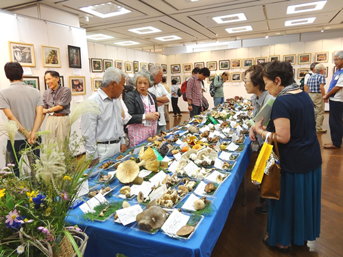 きのこ展開催風景