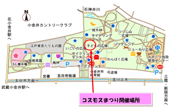 公園内マップとコスモスまつり会場