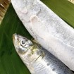 ドローンや瞬間冷凍など日本が「世界に誇る食の技術展」を10/14(水)~12/13(日)に北青山のTEPIA先端技術館で