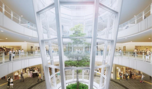 建物内部中央には、シンボルツリーを備えた植物をガラス容器の中で育てるインテリア「テラリウム」を設置。
