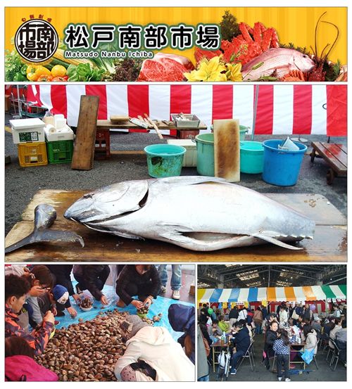 マグロの解体ショーや貝の盛り放題販売も!「松戸市南部市場祭2015」が11月1日(日)に開催