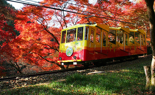 東京随一の紅葉を鑑賞!「高尾山もみじまつり2015」が11月1日(日)から30日(月)まで開催