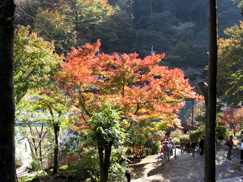 秋の景色を楽しみながらのんびり歩こう