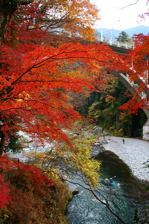 多摩川上流の御岳渓谷