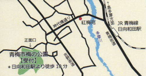 会場の青梅市梅の公園周辺