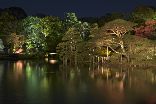 六義園 秋の夜に朱色や黄金色に色づく木々が浮かび上がる