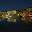 六義園 「紅葉と大名庭園のライトアップ」
