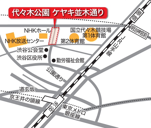 代々木公園ケヤキ並木通り