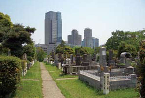 青山霊園 © 公益財団法人東京都公園協会