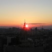 東京都庁展望台から2016年初日の出を見物しませんか - 約600名を事前募集(締切12/8火曜)