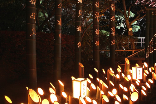紅葉まつり期間中の竹灯籠 夜