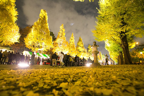 靖國神社参道の大鳥居から本殿まで約500m、左右34本イチョウの並木道を黄金色にライトアップ