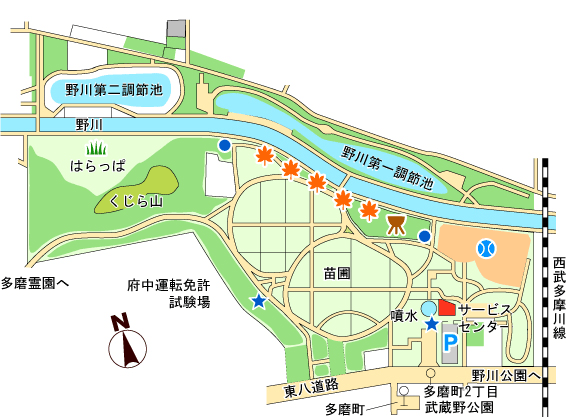 武蔵野公園 