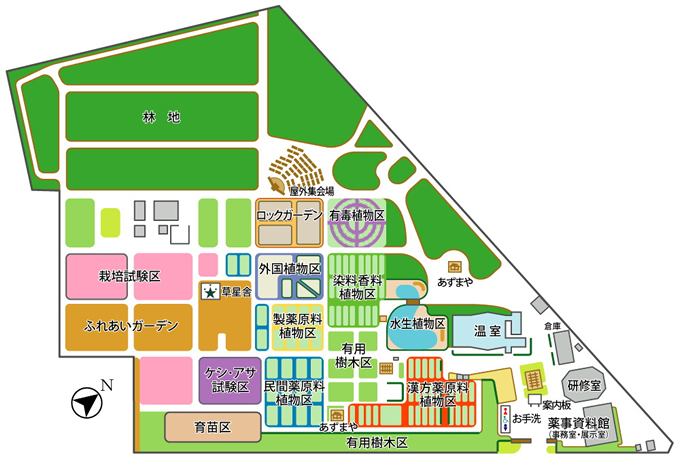 東京都薬用植物園園内マップ