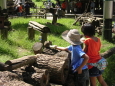 町田リス園