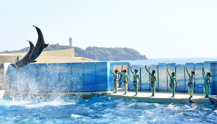 新江ノ島水族館