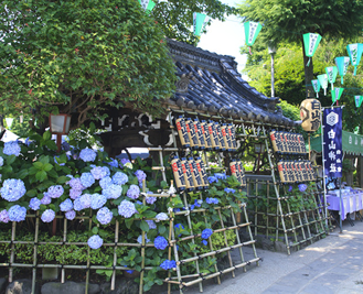 初夏ならではの雰囲気が感じられる白山神社