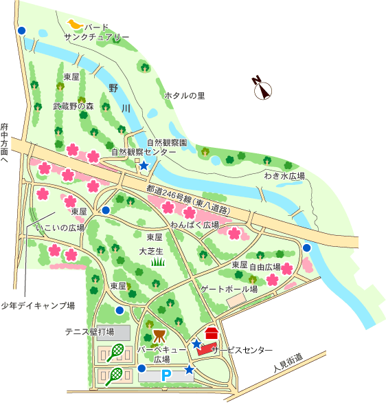 野川公園 