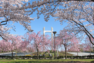 木場公園 公園 Tokyoおでかけガイド