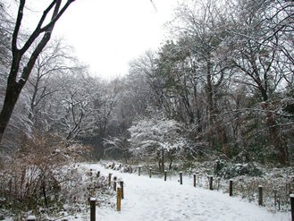 雪景色の園内