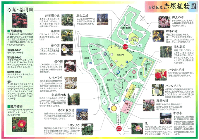 赤塚植物園　園内マップ