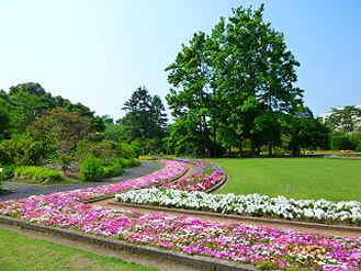 神奈川県立フラワーセンター大船植物園 植物園 Tokyoおでかけガイド