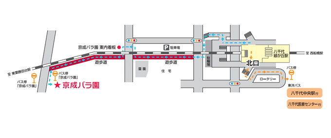 京成バラ園マップとアクセス