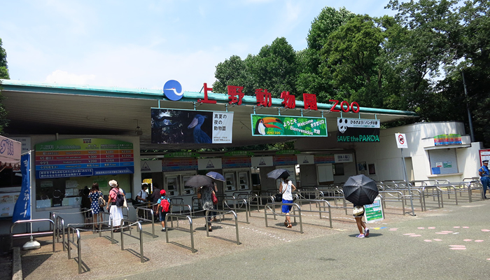 東京都恩賜上野動物園 動物園 Tokyoおでかけガイド